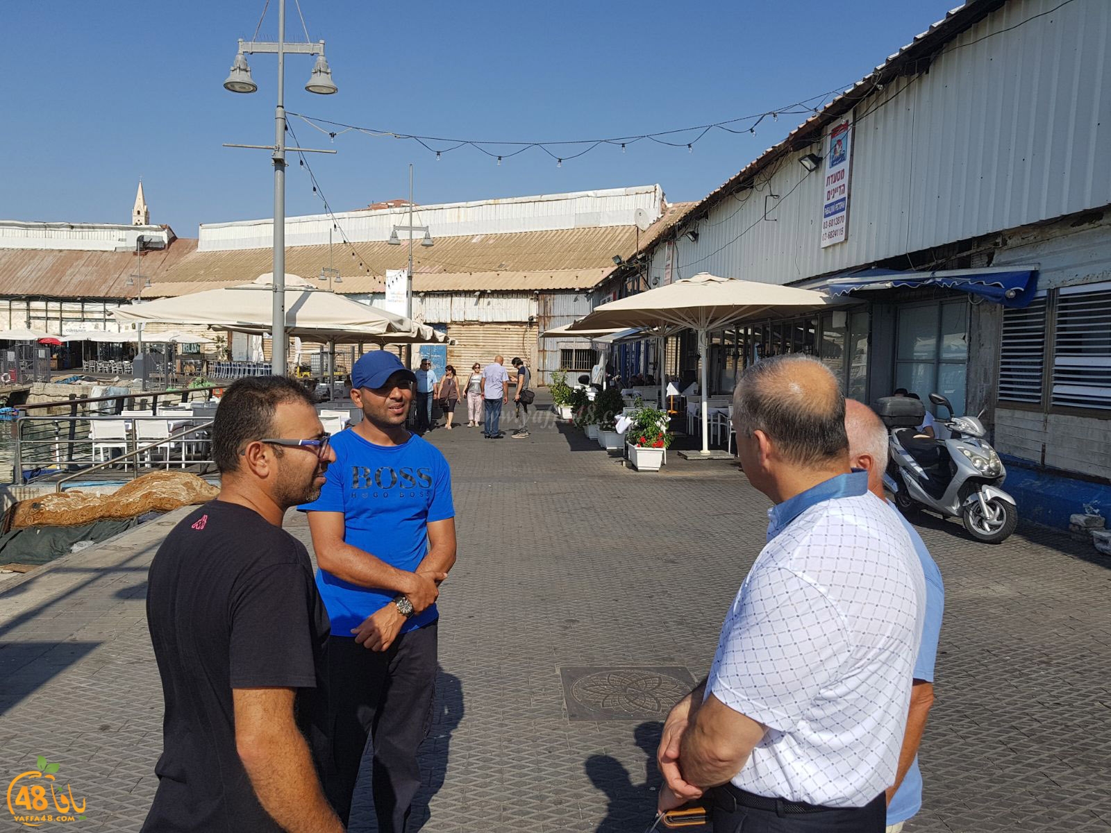 sayaden kolna knestet (29).jpg